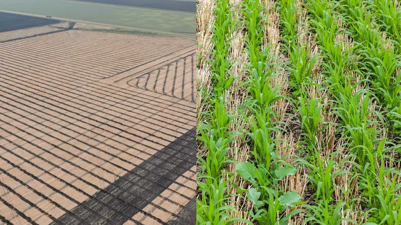 5 Benefits to Integrating Agricultural Drainage and Cover Crops